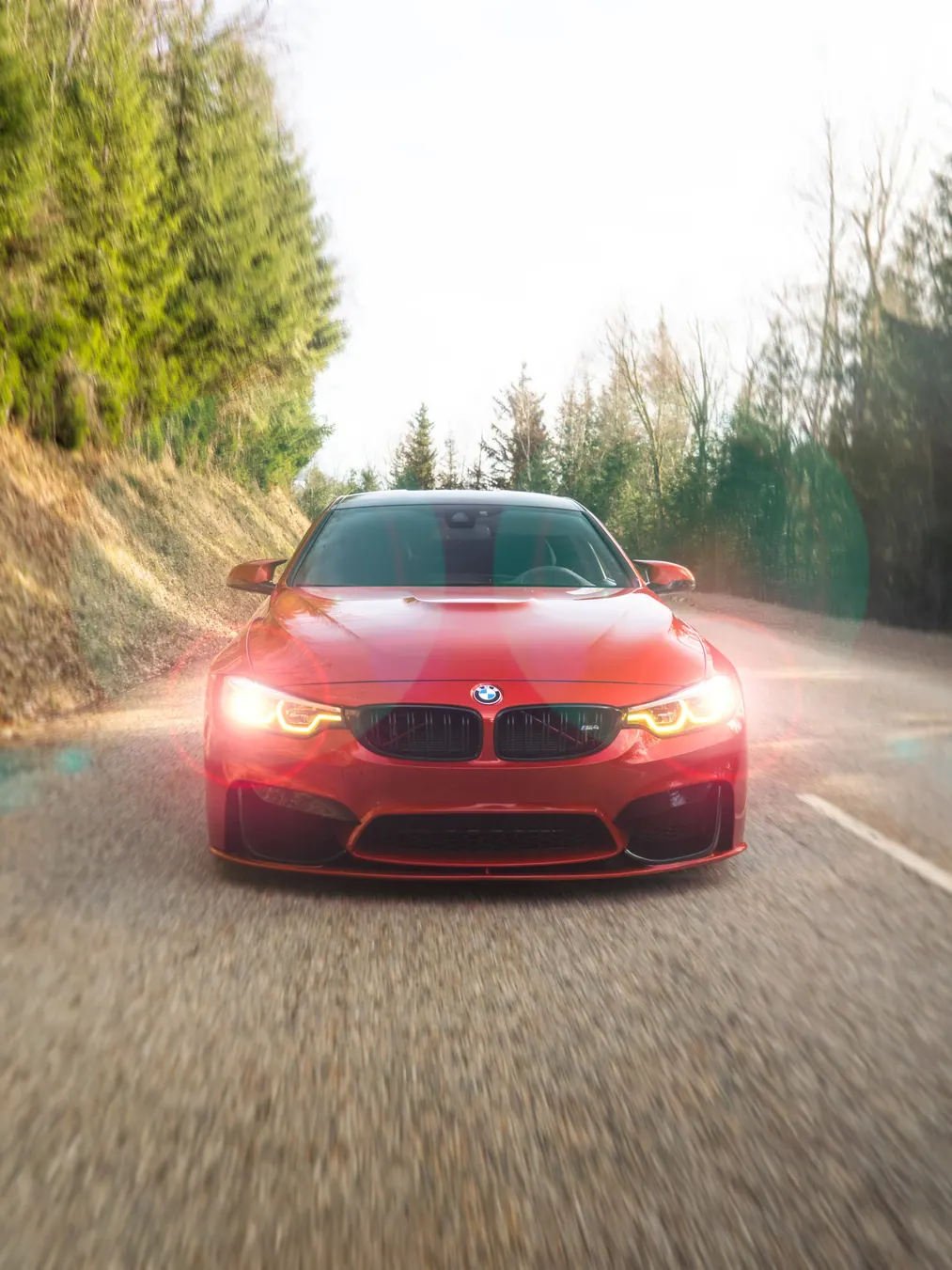 BMW rouge en mouvement sur une route de forêt